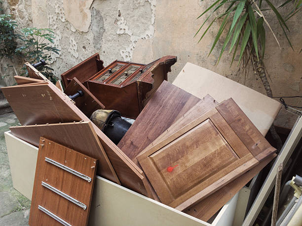 Best Electronics and E-Waste Disposal  in Cedar Springs, MI