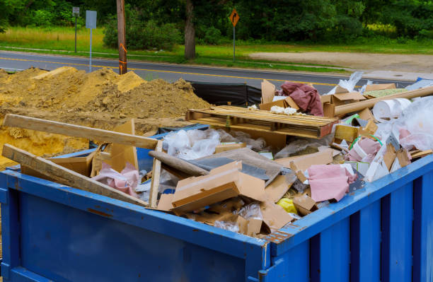 Best Recycling Services for Junk  in Cedar Springs, MI